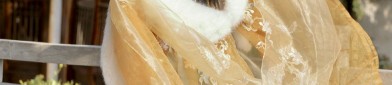 The Journey of a Primary School Girl into the World of Hanfu 汉服)