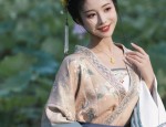 Stylish Slimming Womens Cheongsam Qipaos Embracing Elegance and Functionality
