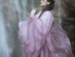 The 20cm Cotton Doll in Hanfu Fashion:A Tiny Journey into Traditional Chinese Culture