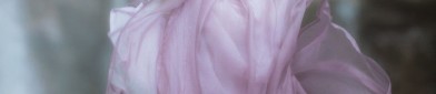 The Elegance of Cheongsams Double Side Slits:A Cultural Exploration