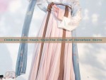The Splendor of Hanfu:The Outer Robe of the Great Sleeveless Cape