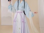 Embracing Tradition:The Qipao Womens Cheongsam Top