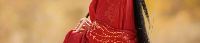 The Deification of Deer and the Revival of Hanfu:A Journey into Traditional Chinese Culture