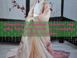 Zhonglingji Flagship Store:A Journey into the World of Traditional Hanfu Fashion