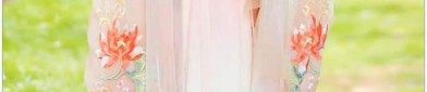 Adult Womens Hanfu Short-sleeved Shirts:A Blend of Tradition and Modernity