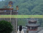 The Enigma of Black Cheongsam Shoes:A Blend of Tradition and Modernity