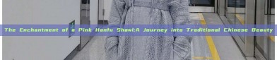 The Enchantment of a Pink Hanfu Shawl:A Journey into Traditional Chinese Beauty