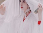 Enhanced Silk Cheongsam:A Modern Evolution of Traditional Elegance