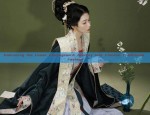 Seduction in a Glamorously Exposed Cheongsam Dress
