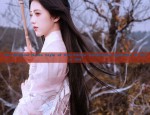 Elegant Glamour of High-End Qipao:The Essence of Traditional Chinese Elegance