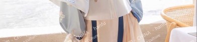Embroidered Splendor:The Allure of Hanfu Stitched Dress