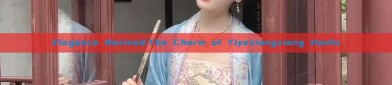 Elegance Revived:The Charm of Yiyexiangxiang Hanfu