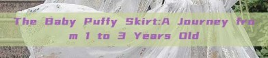 The Baby Puffy Skirt:A Journey from 1 to 3 Years Old