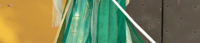 The Splendor of Tang-Style Hanfu in Summer