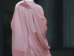 Wang Zhaojuns Splendid Beauty in the Flowing Robes of the Phoenix