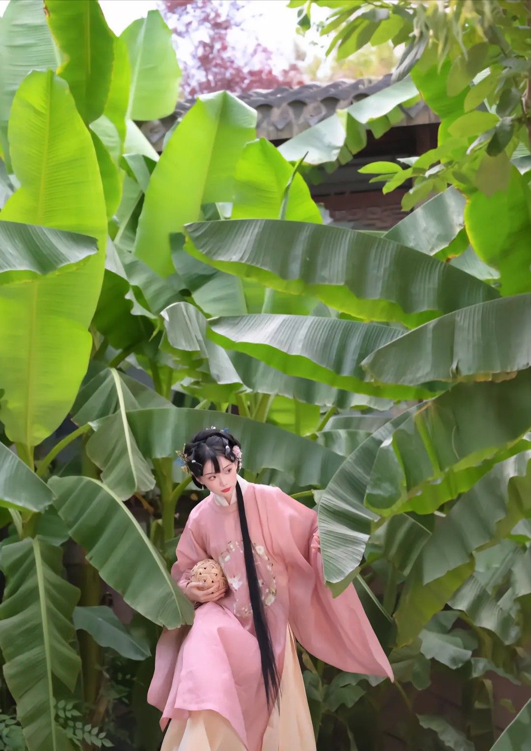 The Splendor of Confucian Gowns and Hanfu Robes:A Journey into Traditional Chinese Clothing The Splendor of Confucian Gowns and Hanfu Robes:A Journey into Traditional Chinese Clothing