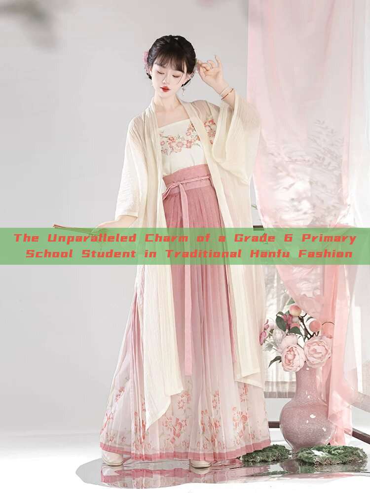 The Unparalleled Charm of a Grade 6 Primary School Student in Traditional Hanfu Fashion The Unparalleled Charm of a Grade 6 Primary School Student in Traditional Hanfu Fashion