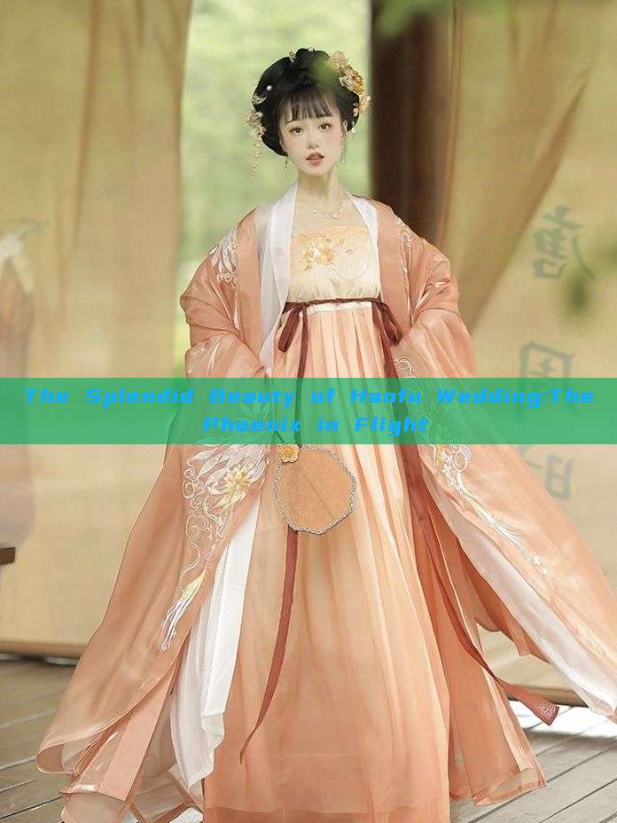 The Splendid Beauty of Hanfu Wedding:The Phoenix in Flight The Splendid Beauty of Hanfu Wedding:The Phoenix in Flight