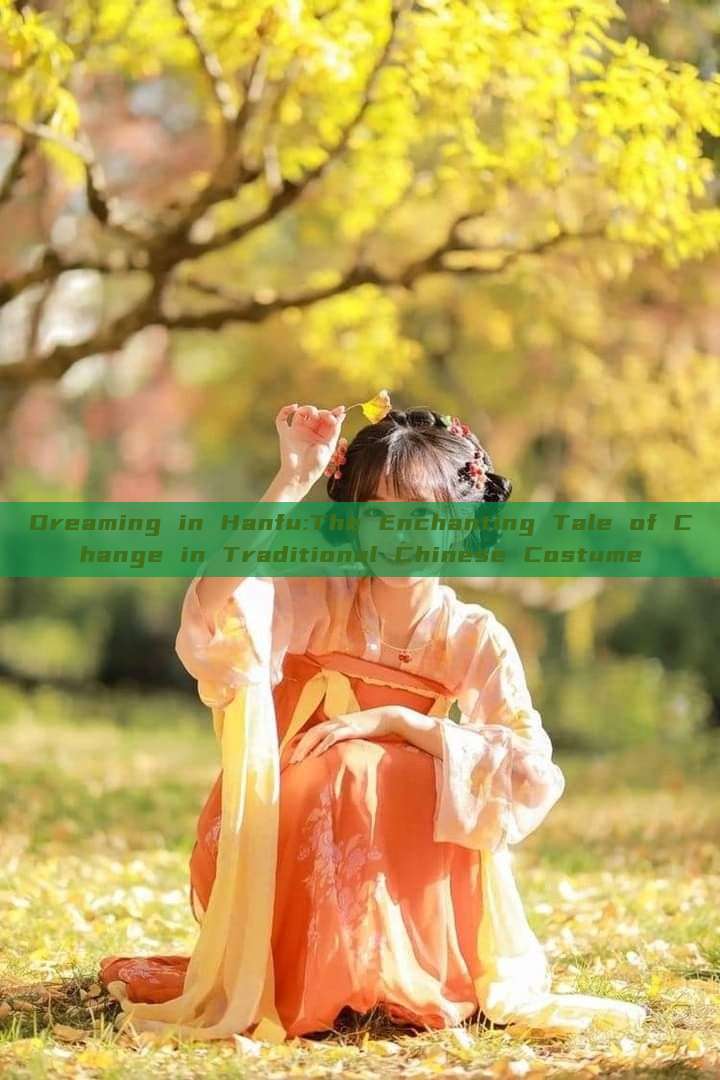 Dreaming in Hanfu:The Enchanting Tale of Change in Traditional Chinese Costume Dreaming in Hanfu:The Enchanting Tale of Change in Traditional Chinese Costume