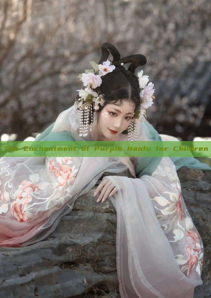 The Enchantment of Purple Hanfu for Children The Enchantment of Purple Hanfu for Children