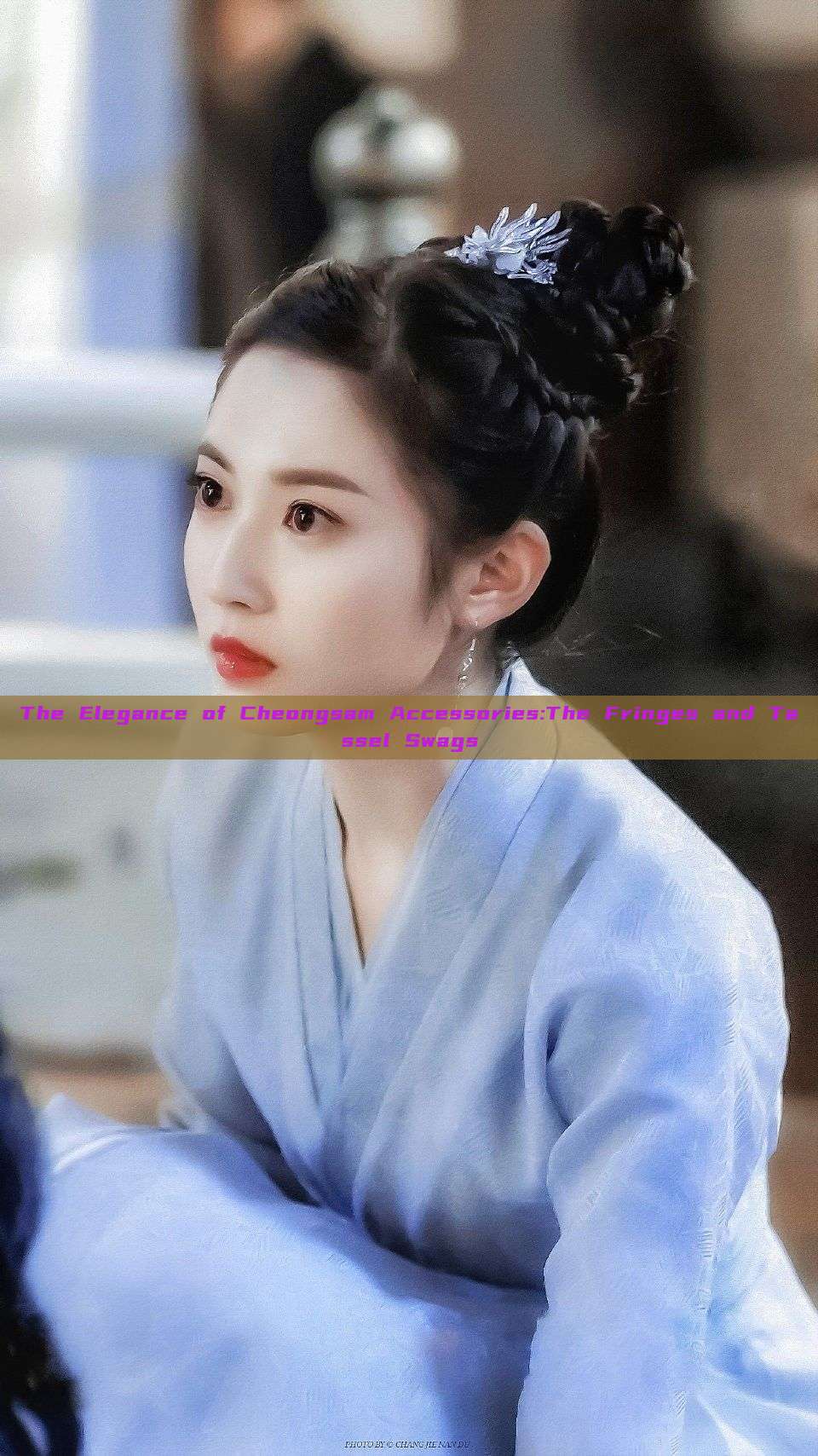 The Elegance of Cheongsam Accessories:The Fringes and Tassel Swags The Elegance of Cheongsam Accessories:The Fringes and Tassel Swags