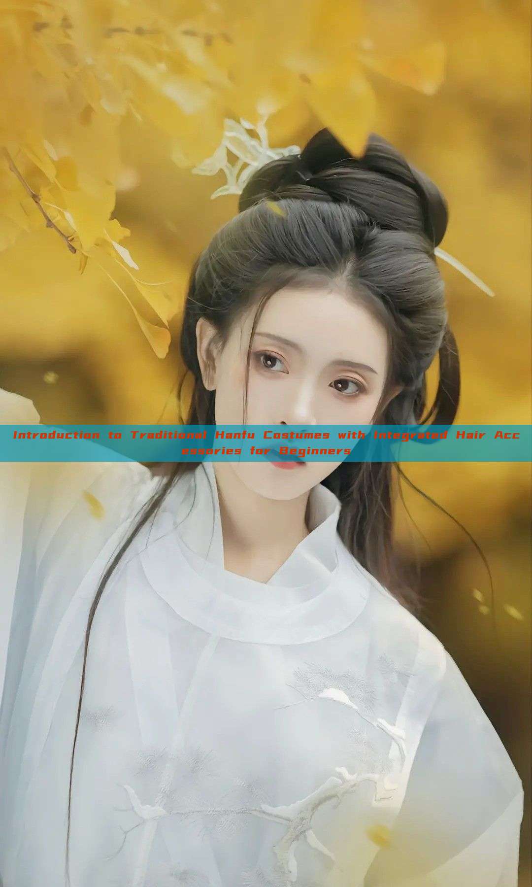 Introduction to Traditional Hanfu Costumes with Integrated Hair Accessories for Beginners Introduction to Traditional Hanfu Costumes with Integrated Hair Accessories for Beginners