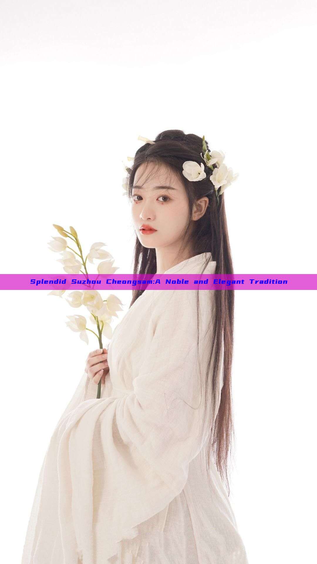 Splendid Suzhou Cheongsam:A Noble and Elegant Tradition Splendid Suzhou Cheongsam:A Noble and Elegant Tradition