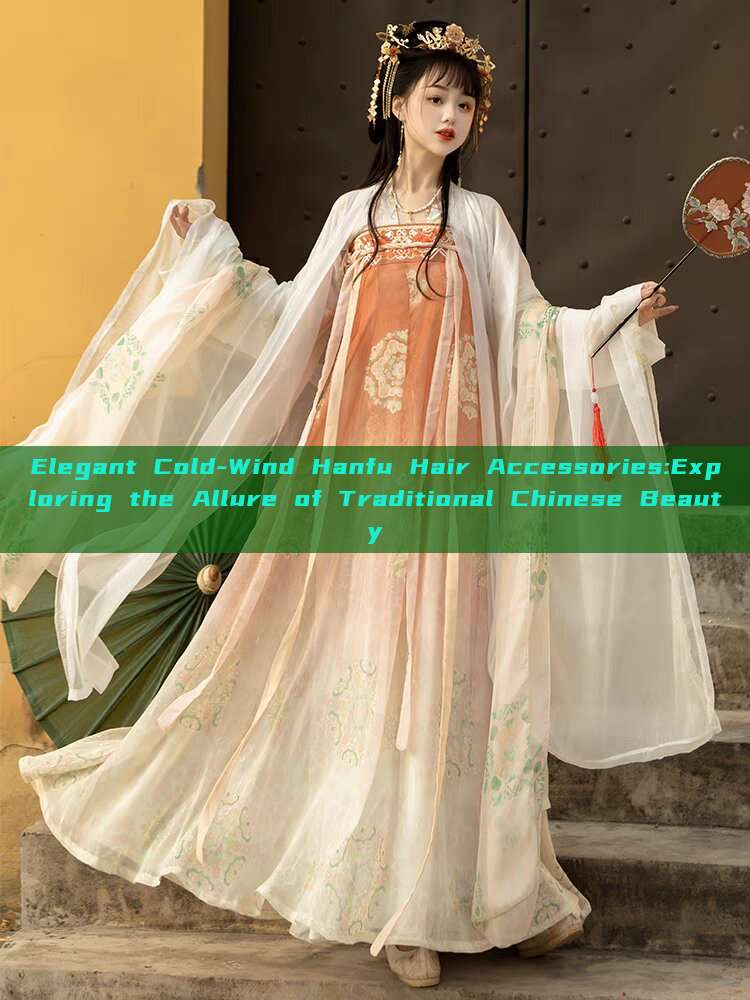 Elegant Cold-Wind Hanfu Hair Accessories:Exploring the Allure of Traditional Chinese Beauty Elegant Cold-Wind Hanfu Hair Accessories:Exploring the Allure of Traditional Chinese Beauty