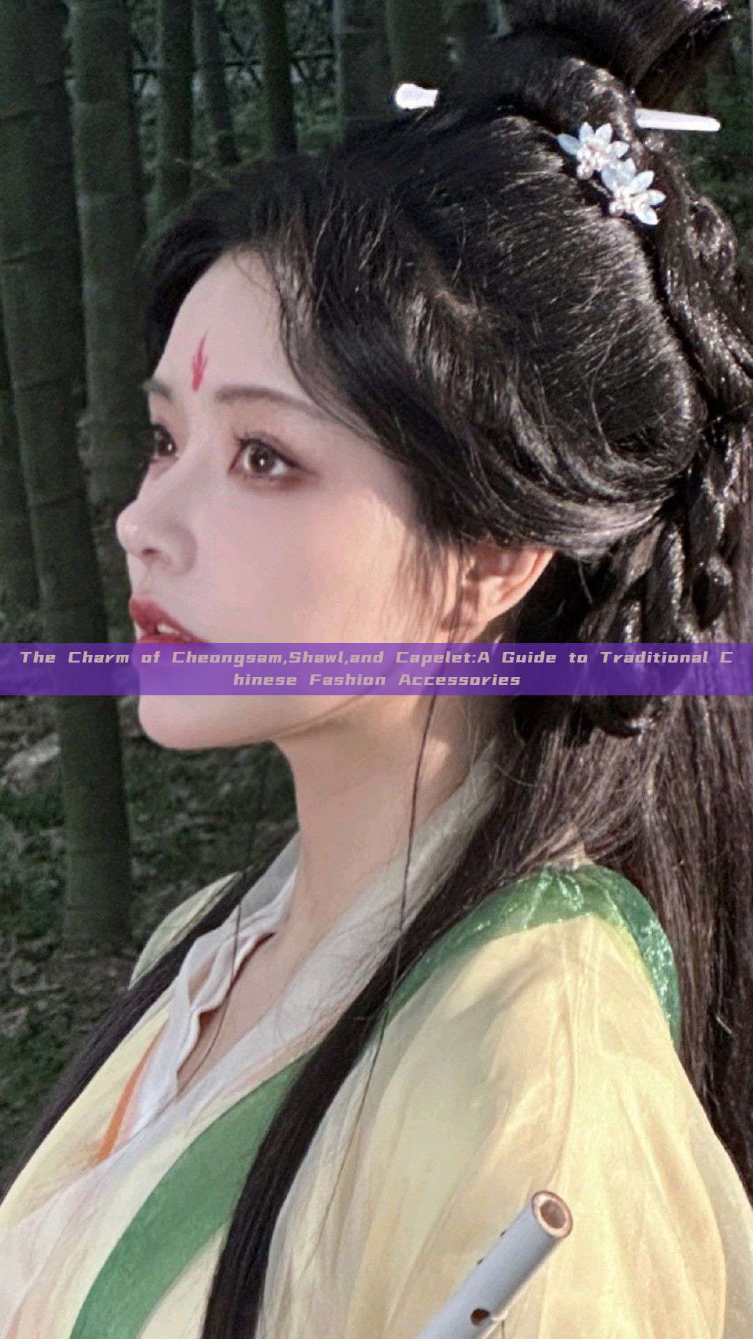 The Charm of Cheongsam,Shawl,and Capelet:A Guide to Traditional Chinese Fashion Accessories The Charm of Cheongsam,Shawl,and Capelet:A Guide to Traditional Chinese Fashion Accessories