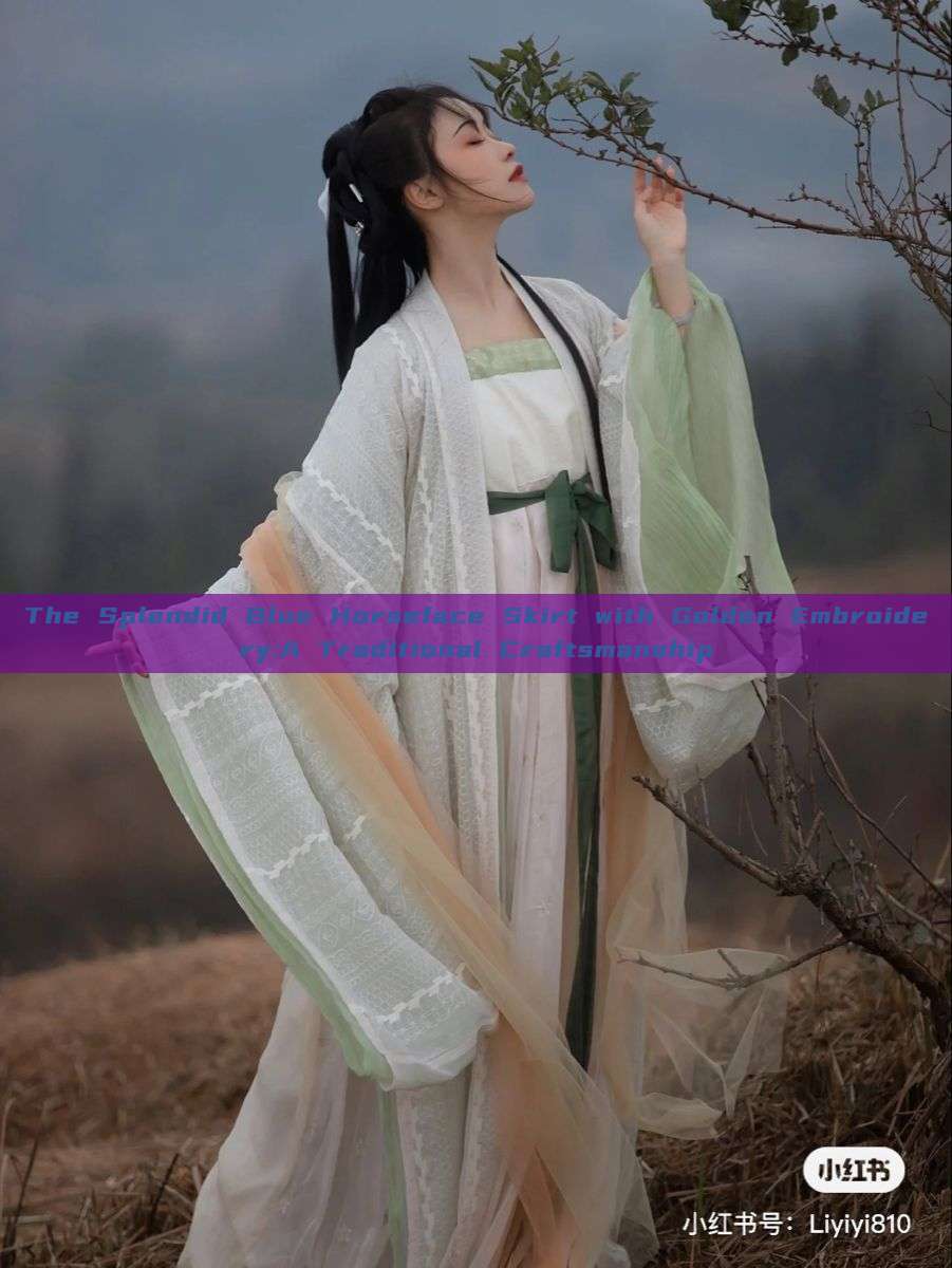 The Splendid Blue Horseface Skirt with Golden Embroidery:A Traditional Craftsmanship The Splendid Blue Horseface Skirt with Golden Embroidery:A Traditional Craftsmanship