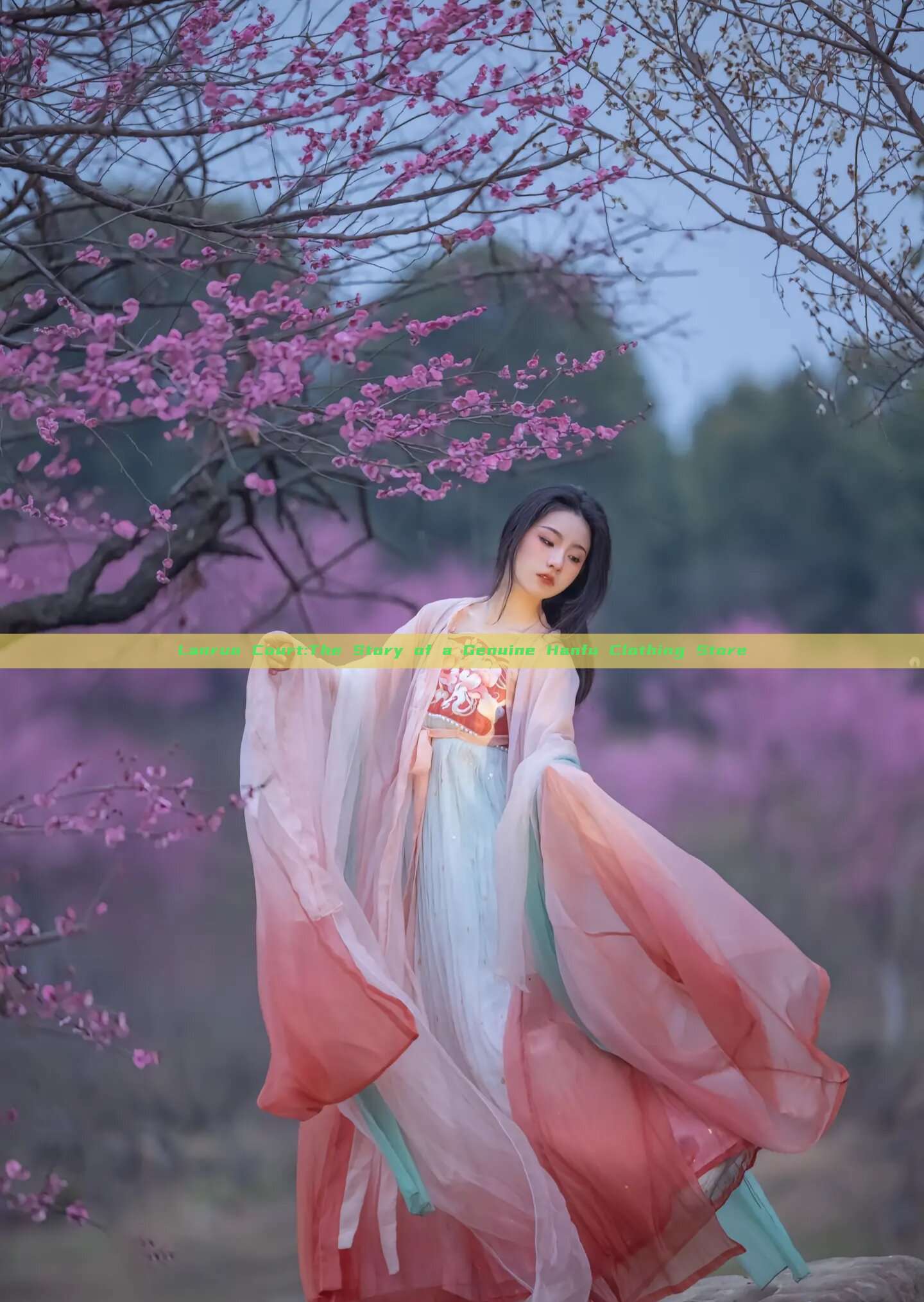 Lanruo Court:The Story of a Genuine Hanfu Clothing Store Lanruo Court:The Story of a Genuine Hanfu Clothing Store