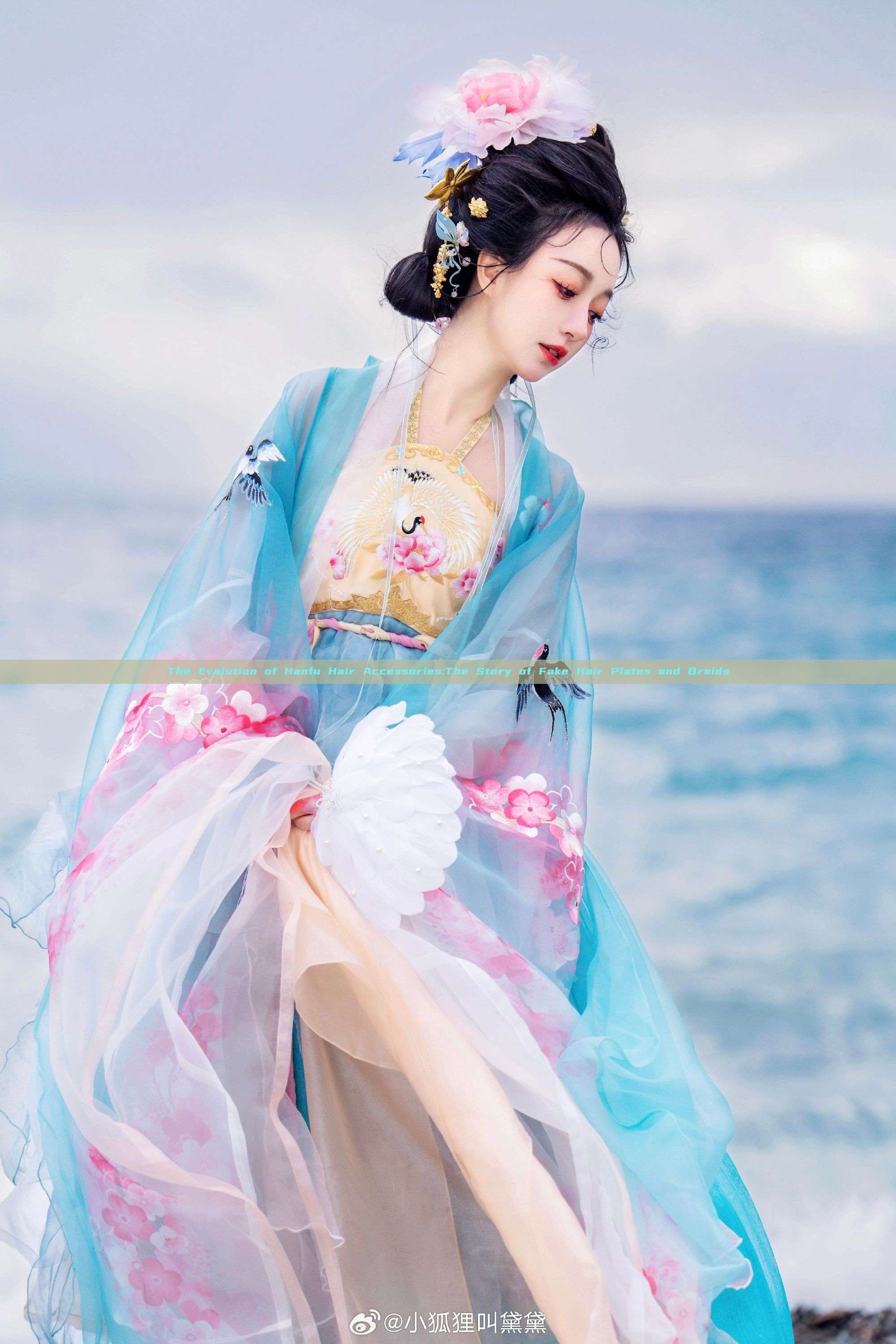 The Evolution of Hanfu Hair Accessories:The Story of Fake Hair Plates and Braids The Evolution of Hanfu Hair Accessories:The Story of Fake Hair Plates and Braids
