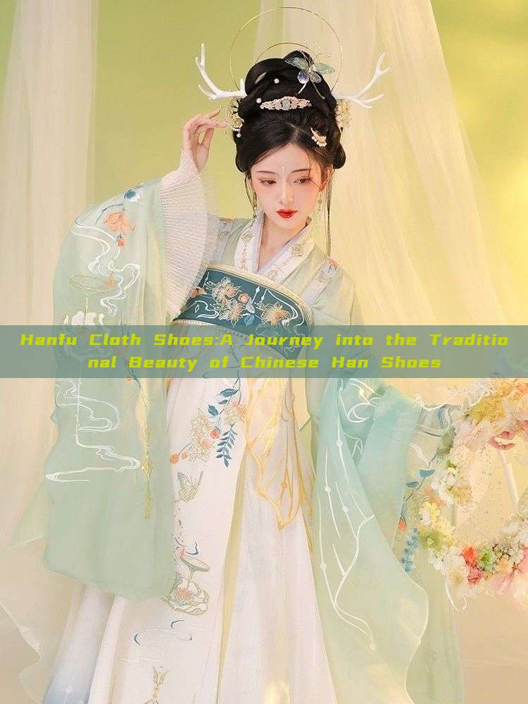 Hanfu Cloth Shoes:A Journey into the Traditional Beauty of Chinese Han Shoes Hanfu Cloth Shoes:A Journey into the Traditional Beauty of Chinese Han Shoes