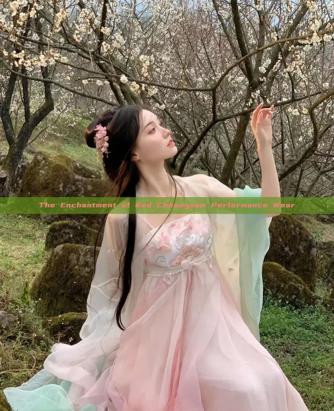 The Enchantment of Red Cheongsam Performance Wear The Enchantment of Red Cheongsam Performance Wear