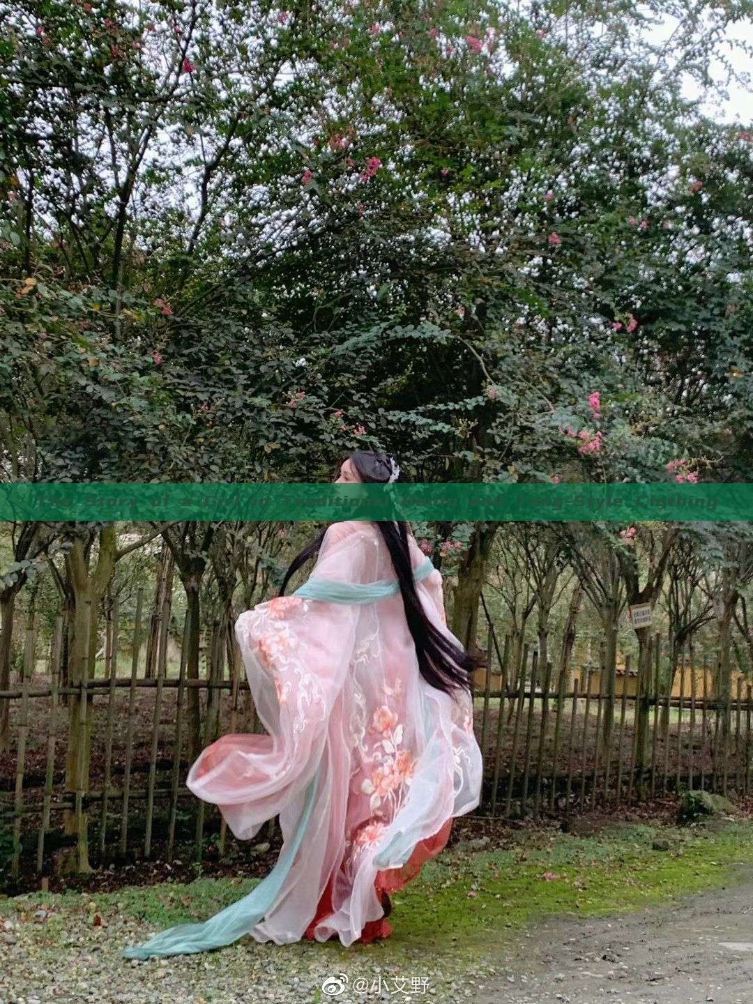 The Story of a Girl in Traditional Hanfu and Tang-Style Clothing The Story of a Girl in Traditional Hanfu and Tang-Style Clothing