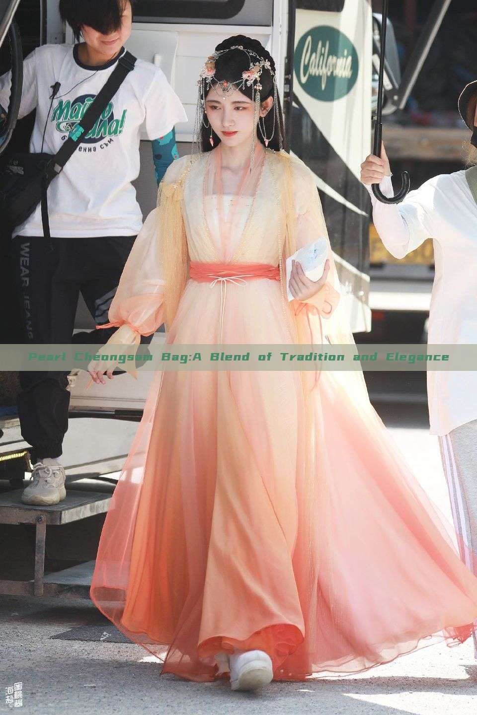 Pearl Cheongsam Bag:A Blend of Tradition and Elegance Pearl Cheongsam Bag:A Blend of Tradition and Elegance