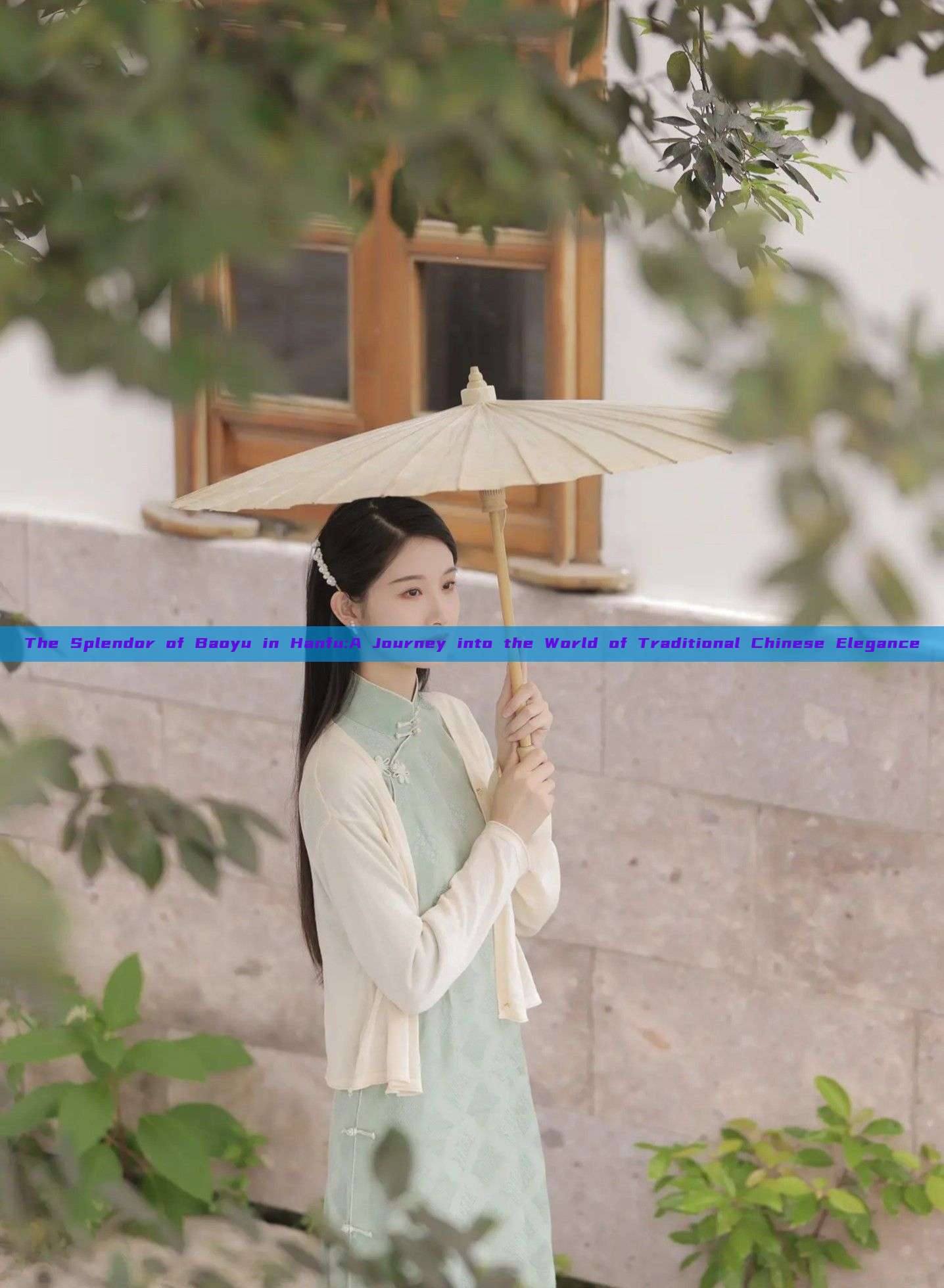 The Splendor of Baoyu in Hanfu:A Journey into the World of Traditional Chinese Elegance The Splendor of Baoyu in Hanfu:A Journey into the World of Traditional Chinese Elegance
