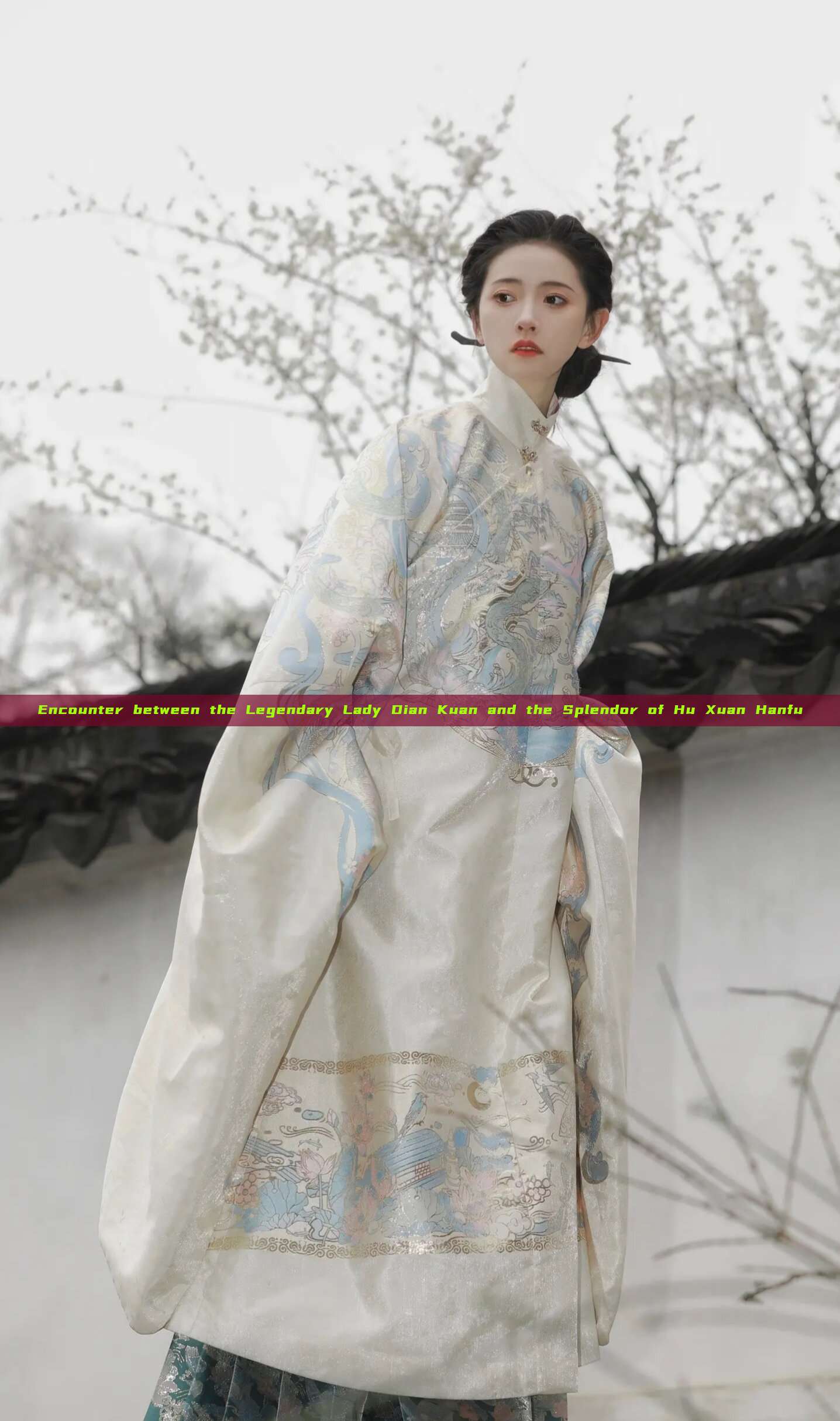 Encounter between the Legendary Lady Dian Kuan and the Splendor of Hu Xuan Hanfu Encounter between the Legendary Lady Dian Kuan and the Splendor of Hu Xuan Hanfu