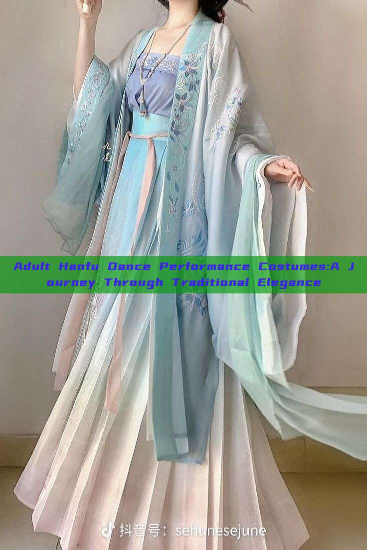 Adult Hanfu Dance Performance Costumes:A Journey Through Traditional Elegance Adult Hanfu Dance Performance Costumes:A Journey Through Traditional Elegance