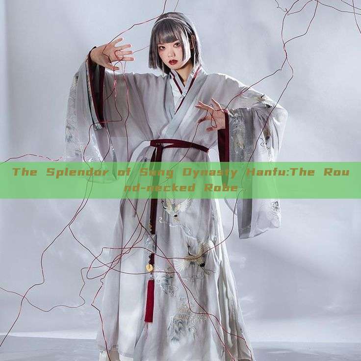 The Splendor of Song Dynasty Hanfu:The Round-necked Robe The Splendor of Song Dynasty Hanfu:The Round-necked Robe