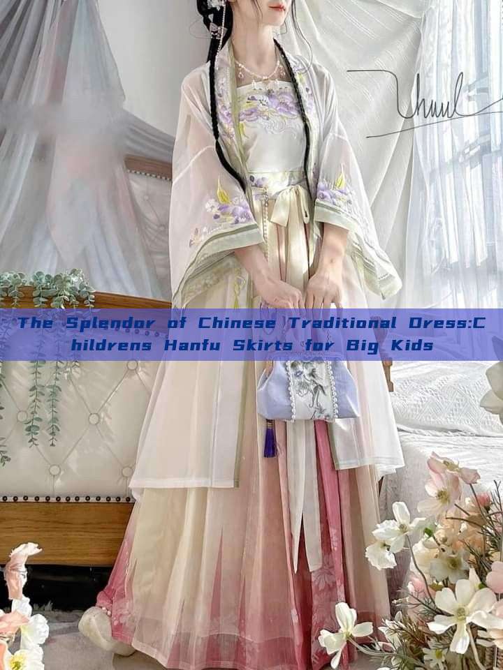 The Splendor of Chinese Traditional Dress:Childrens Hanfu Skirts for Big Kids The Splendor of Chinese Traditional Dress:Childrens Hanfu Skirts for Big Kids