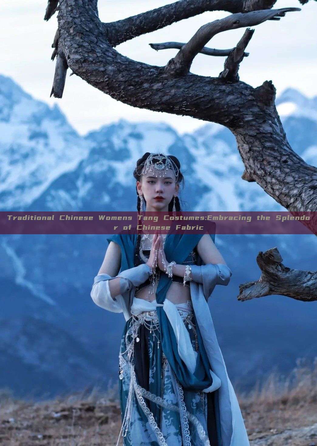 Traditional Chinese Womens Tang Costumes:Embracing the Splendor of Chinese Fabric Traditional Chinese Womens Tang Costumes:Embracing the Splendor of Chinese Fabric