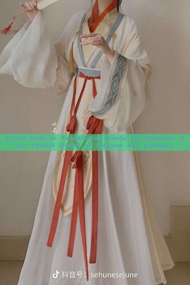 Little Kids in Traditional Hanfu for Chinese New Year:A Blend of Culture and Fashion Little Kids in Traditional Hanfu for Chinese New Year:A Blend of Culture and Fashion