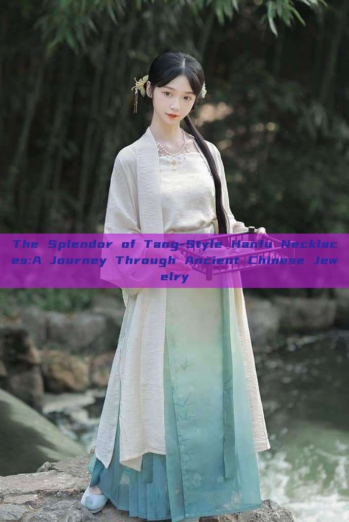 The Splendor of Tang-Style Hanfu Necklaces:A Journey Through Ancient Chinese Jewelry The Splendor of Tang-Style Hanfu Necklaces:A Journey Through Ancient Chinese Jewelry