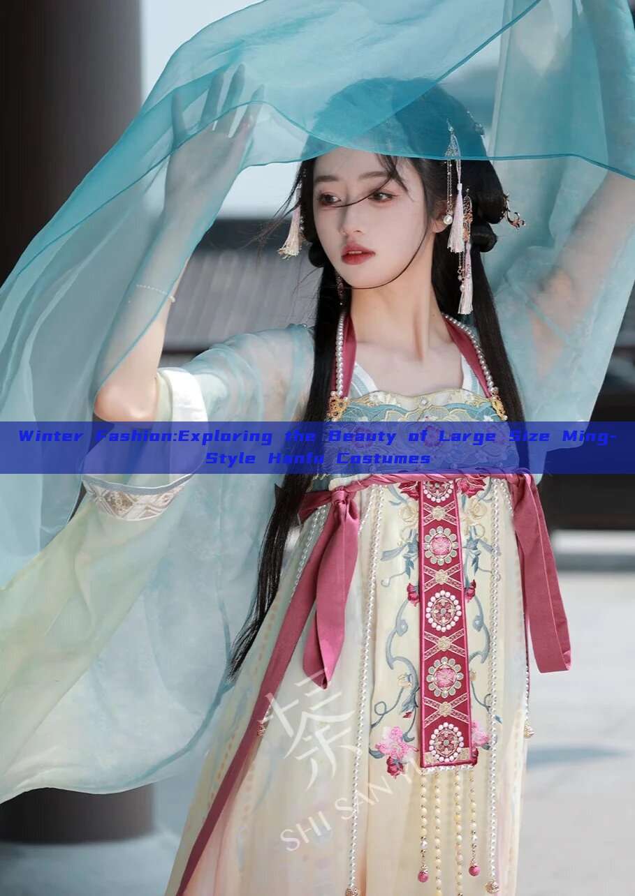 Winter Fashion:Exploring the Beauty of Large Size Ming-Style Hanfu Costumes Winter Fashion:Exploring the Beauty of Large Size Ming-Style Hanfu Costumes