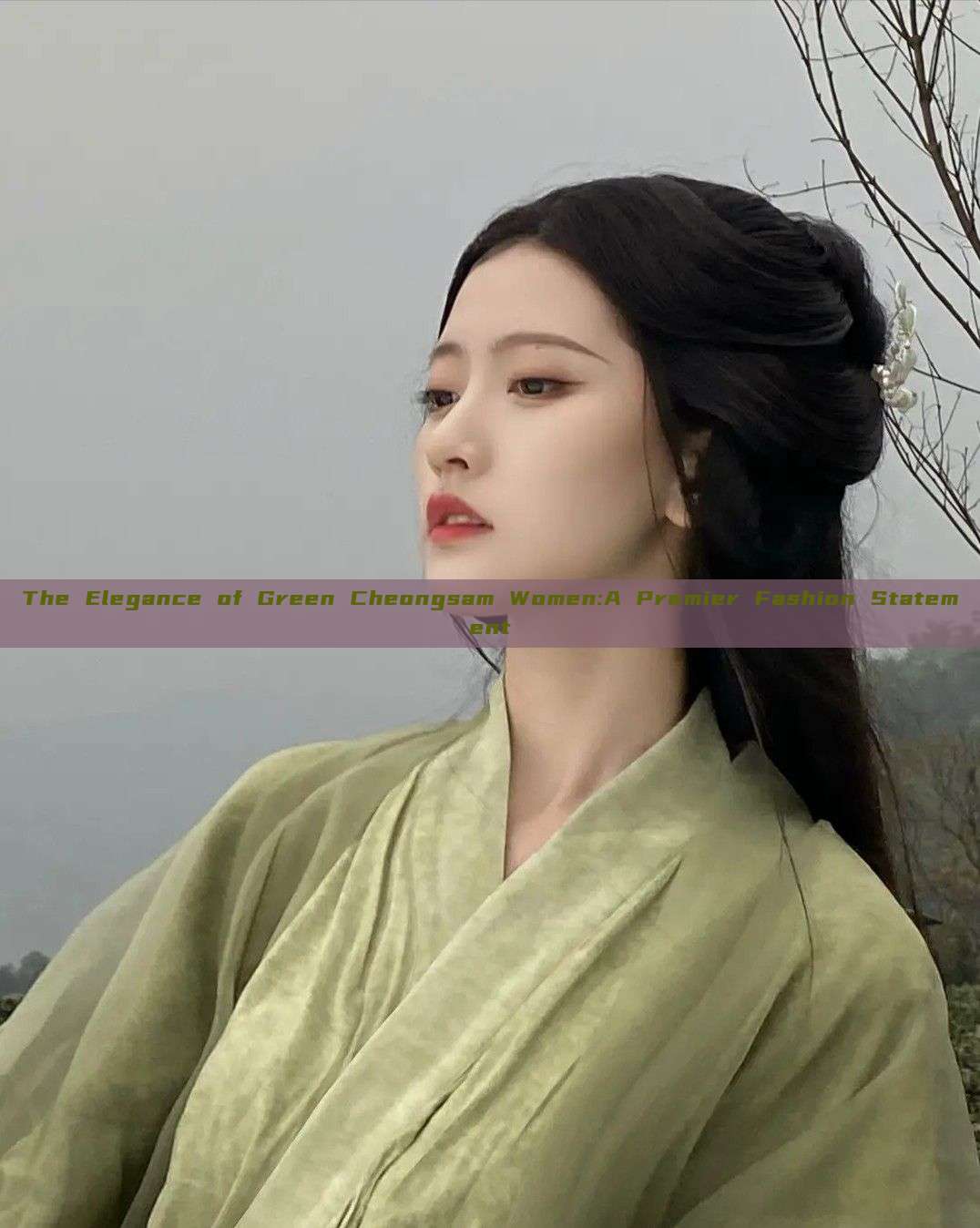 The Elegance of Green Cheongsam Women:A Premier Fashion Statement The Elegance of Green Cheongsam Women:A Premier Fashion Statement