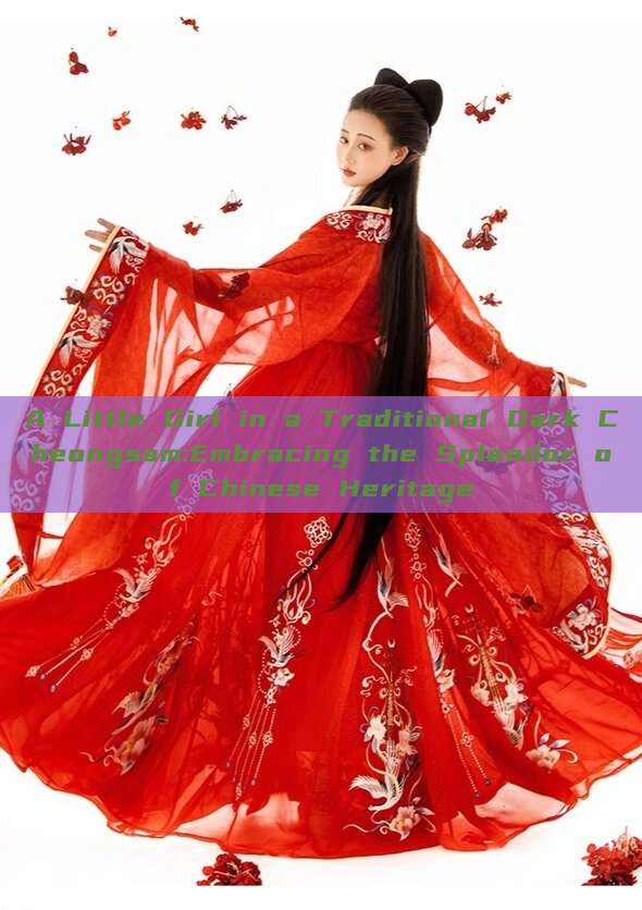A Little Girl in a Traditional Dark Cheongsam:Embracing the Splendor of Chinese Heritage A Little Girl in a Traditional Dark Cheongsam:Embracing the Splendor of Chinese Heritage