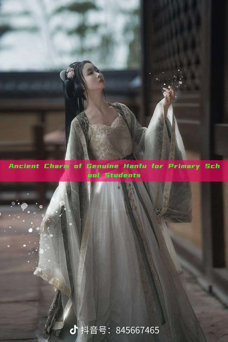 Ancient Charm of Genuine Hanfu for Primary School Students Ancient Charm of Genuine Hanfu for Primary School Students