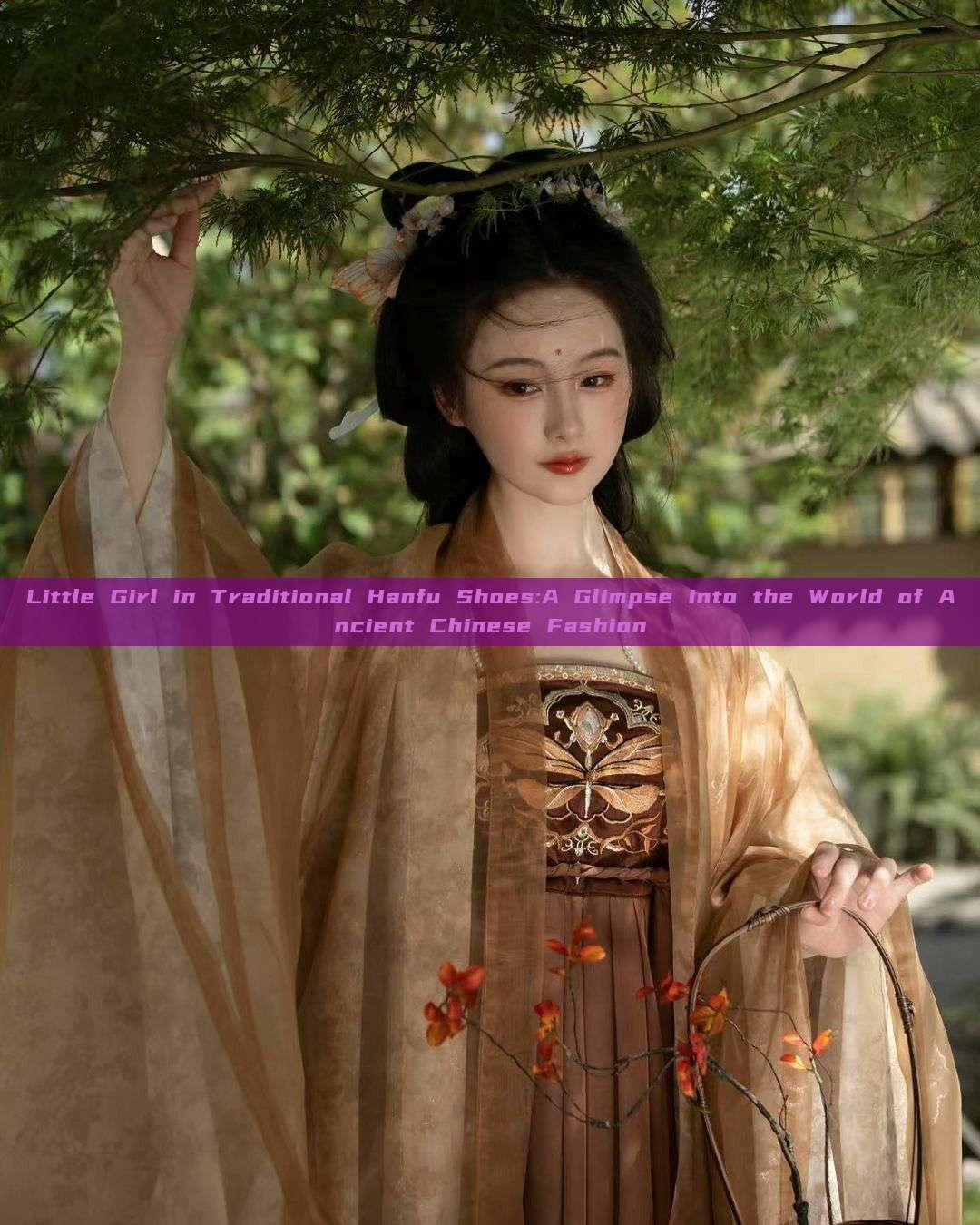 Little Girl in Traditional Hanfu Shoes:A Glimpse into the World of Ancient Chinese Fashion Little Girl in Traditional Hanfu Shoes:A Glimpse into the World of Ancient Chinese Fashion
