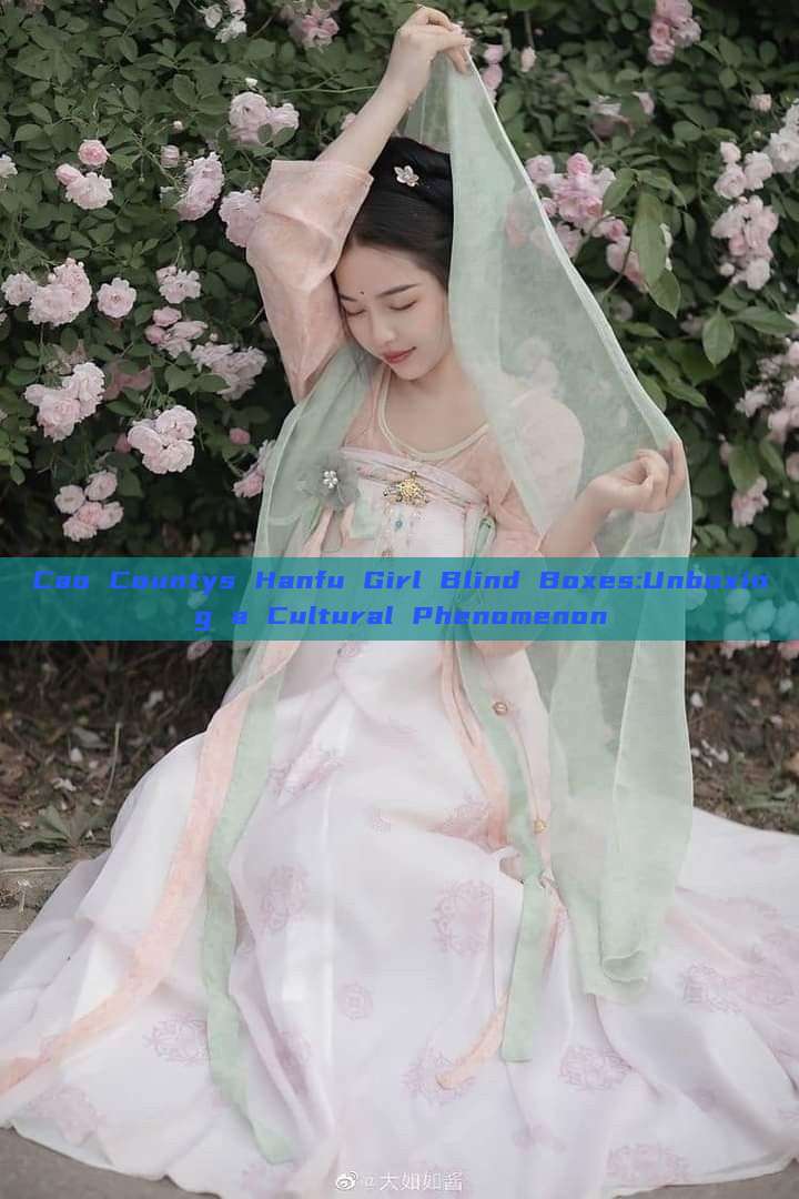 Cao Countys Hanfu Girl Blind Boxes:Unboxing a Cultural Phenomenon Cao Countys Hanfu Girl Blind Boxes:Unboxing a Cultural Phenomenon